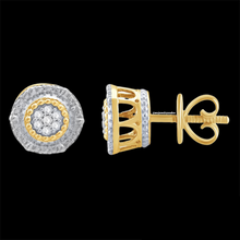 Load image into Gallery viewer, Lesk Diamonds Earring

