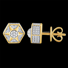 Load image into Gallery viewer, Ozaren Diamonds Earring
